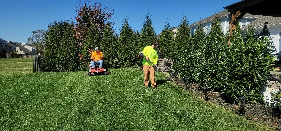 A freshly mowed, striped lawn being trimmed along a garden bed